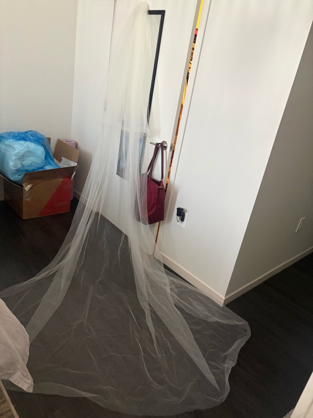 Chapel Raw Edge Tulle Veil with Blusher